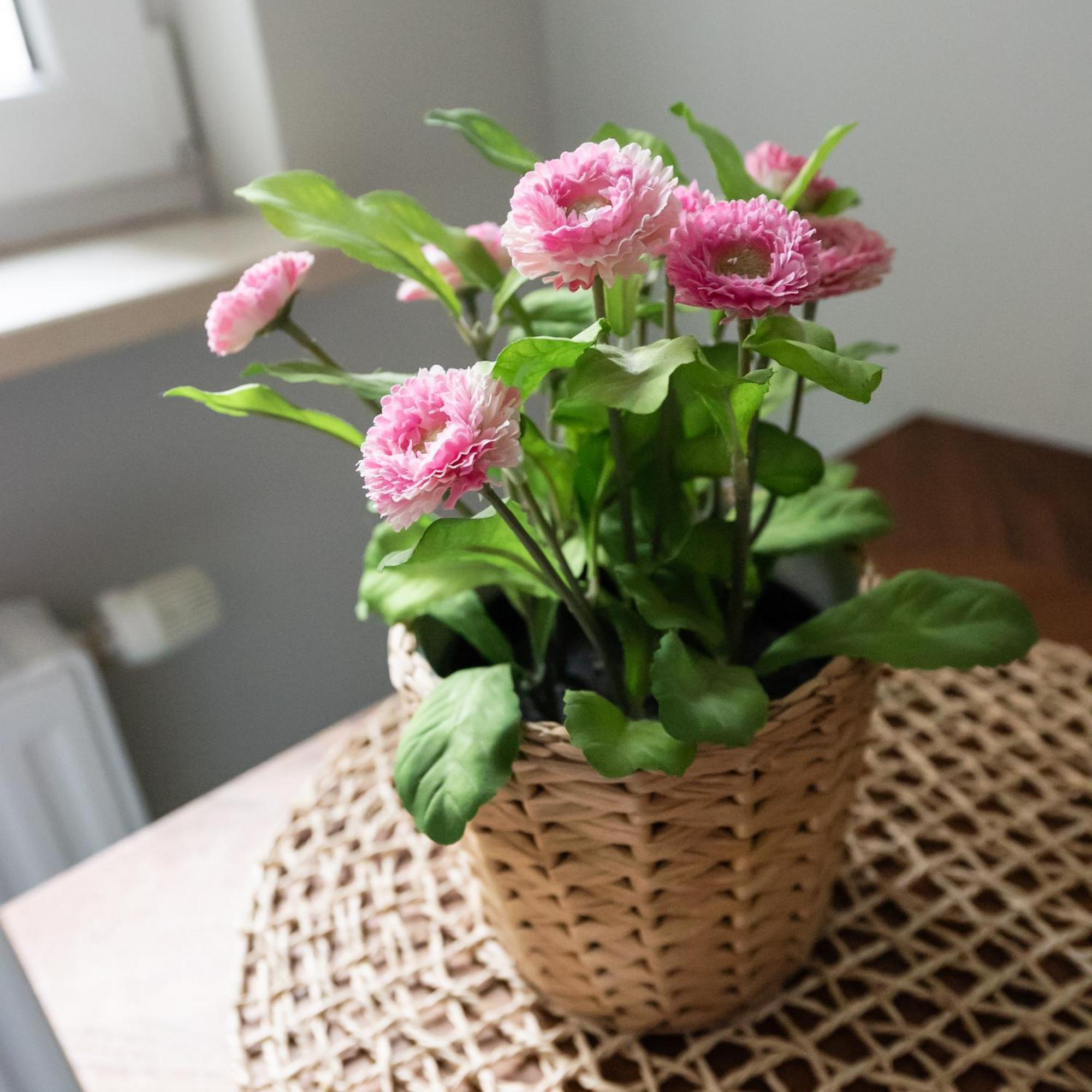 Apartament Bemowo Lazurowa Comfort